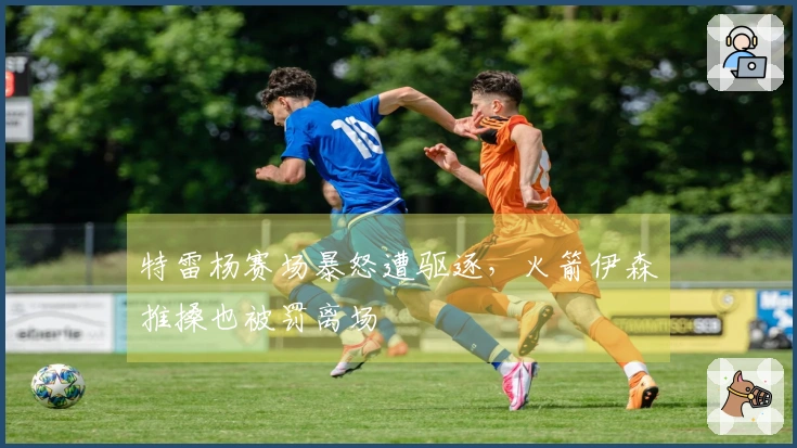 特雷杨赛场暴怒遭驱逐，火箭伊森推搡也被罚离场